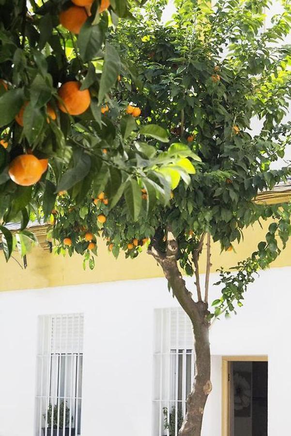 Apartamento Costasol 코르도바 외부 사진